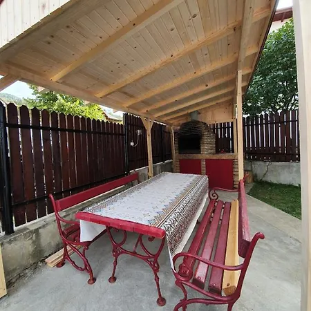 Guest house Alma Azuga