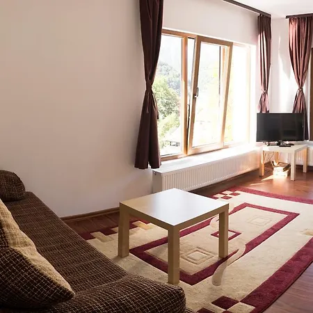 Guest house Alma Azuga